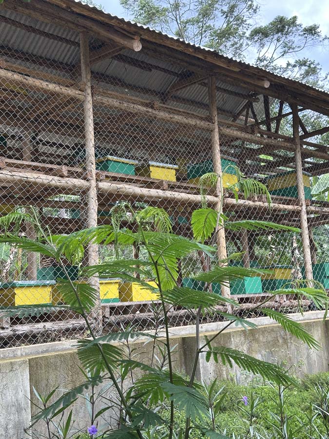 Cooperative and farmer group at the apiary