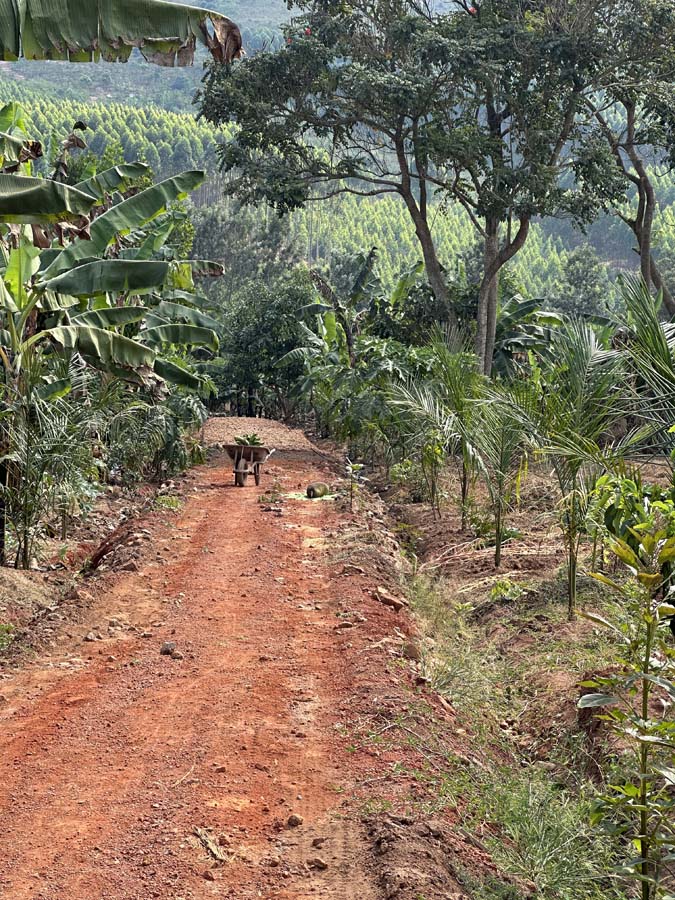 Demonstration farm view 28