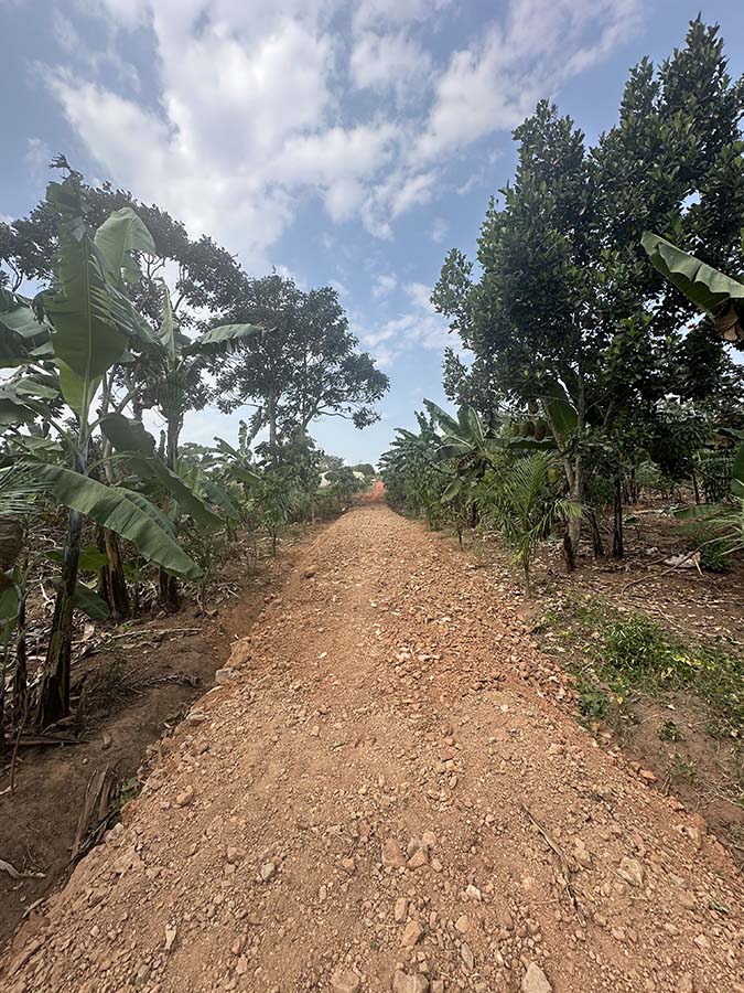 Demonstration farm view 3