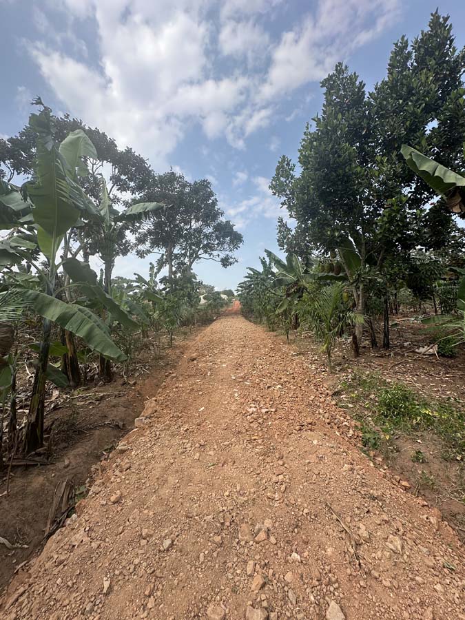 Demonstration farm view 30