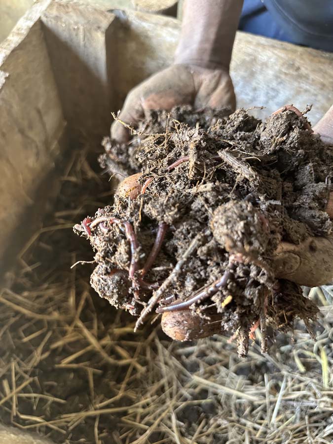 Demonstration farm view 9