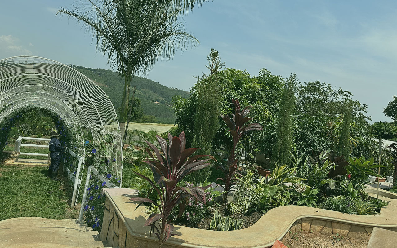 Learners tending to vegetables inside a greenhouse at the demonstration farm