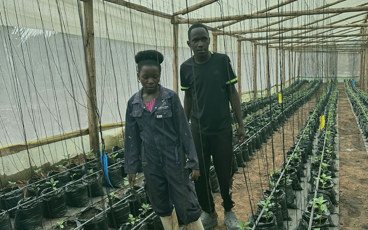African woman farmer tending to crops in a thriving vegetable garden